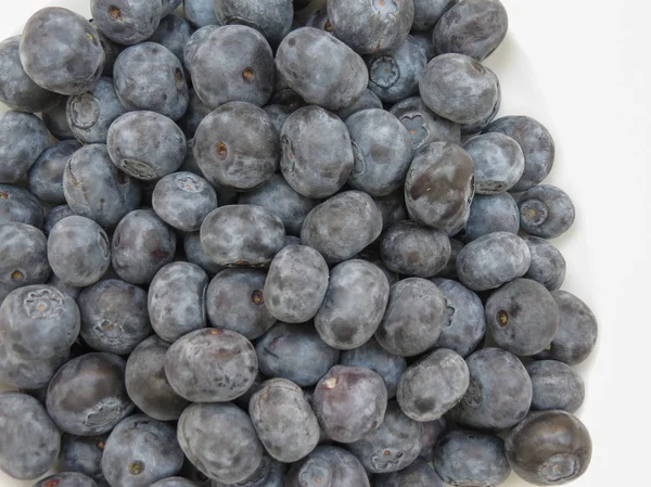 블루 베리 과일 음식 — 스톡 사진