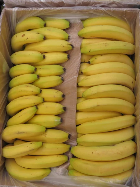 Makanan buah pisang — Stok Foto