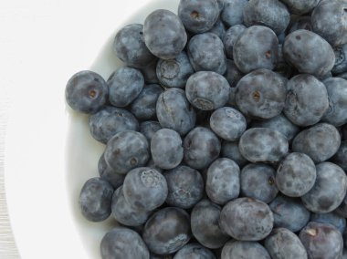 yaban mersini meyve gıda