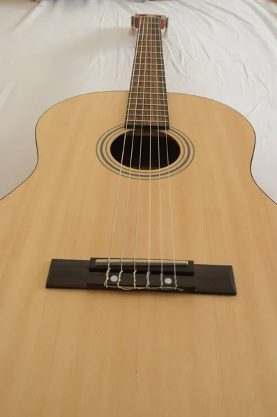 Çamurluk klasik gitar Esc105 — Stok fotoğraf