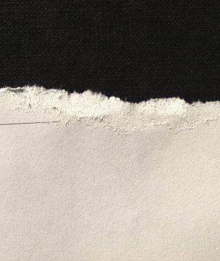 Siyah arka plan üzerinde yırtılmış kağıt boş levha