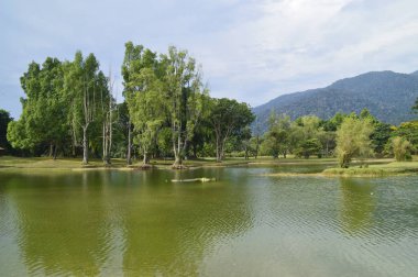 Gölde bir görünüm 