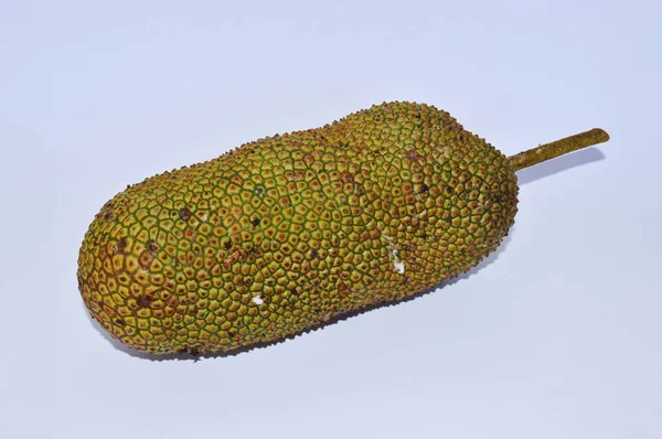 Jackfruit Cempedak Terhadap Latar Belakang Putih — Stok Foto