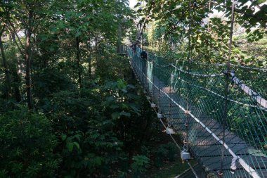 Kuala Lumpur Malezya - 25 Temmuz 2020; Kuala Lumpur Ormanı Eko Rimba Kuala Lumpur Parkı 'ndaki ağaç tepe örtüsünün asma köprüsü).