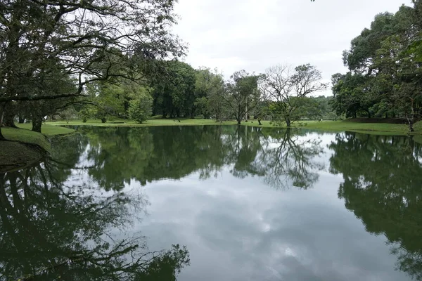 Живописный Вид Сад Озера Тайпин Расположенный Пераке Малайзия — стоковое фото