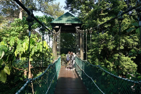 吉隆坡马来西亚 2020年7月25日 位于吉隆坡森林生态公园 Taman Eko Rimba Kuala Lumpur 树冠道的游客 — 图库照片