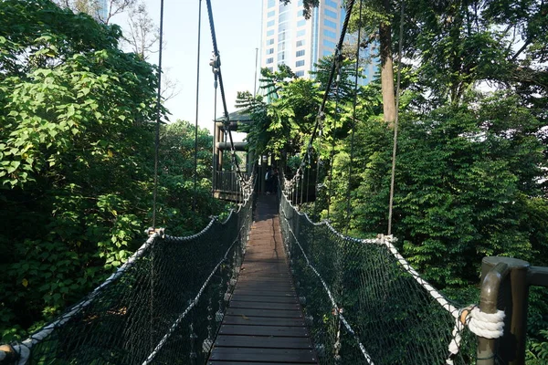 Kuala Lumpur Malaysia July 2020 Ponte Suspensa Dossel Árvores Localizada — Fotografia de Stock