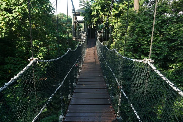 Kuala Lumpur Malaysia July 2020 Ponte Suspensa Dossel Árvores Localizada — Fotografia de Stock