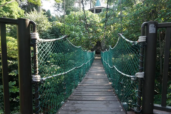 Kuala Lumpur Malaysia July 2020 Ponte Suspensa Dossel Árvores Localizada — Fotografia de Stock