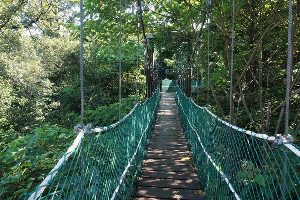 Kuala Lumpur Malaysia July 2020 Ponte Suspensa Dossel Árvores Localizada — Fotografia de Stock