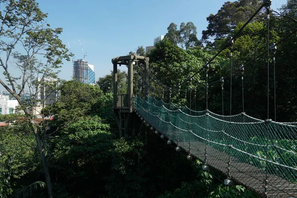 Kuala Lumpur Malezya - 25 Temmuz 2020; Kuala Lumpur Ormanı Eko Rimba Kuala Lumpur Parkı 'ndaki ağaç tepe örtüsünün asma köprüsü).