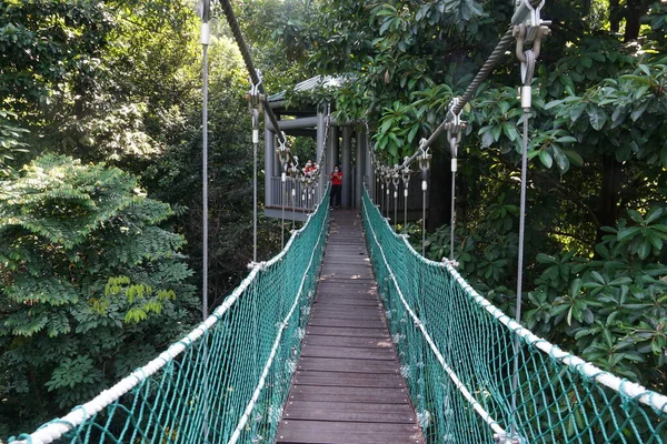 Kuala Lumpur Ormanı Eco Parkı Nda Taman Eko Rimba Kuala — Stok fotoğraf