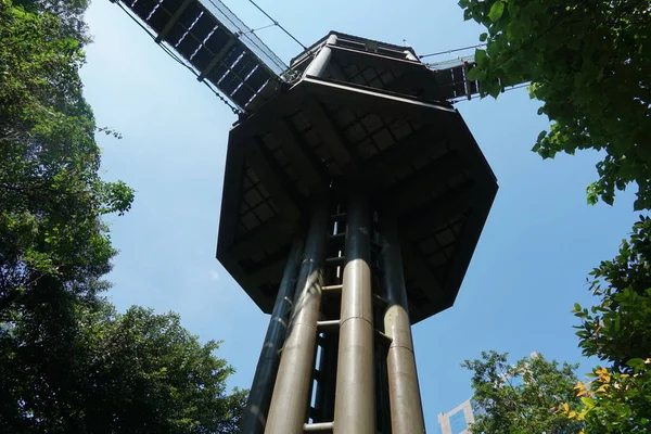 Kuala Lumpur Malaysia Juli 2020 Hängbro Vid Kuala Lumpur Forest — Stockfoto