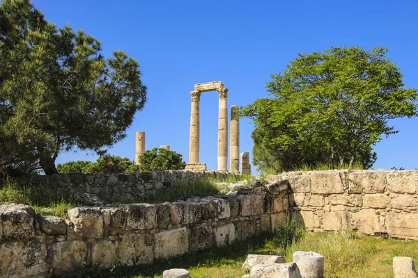 Templo Hércules Del Complejo Ciudadela Ammán Jabal Qal Ammán Jordania — Foto de Stock