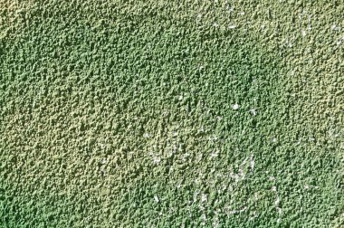 ışık yeşil kaba sıva doku, arka plan, metin veya görüntü için