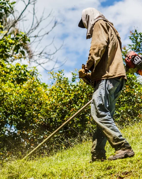 Hombre Trabajando Duro Para Cortar Césped — Foto de Stock