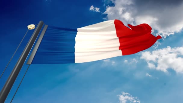 Drapeau Ondulé Naturel Avec Fond Bleu Ciel France — Video