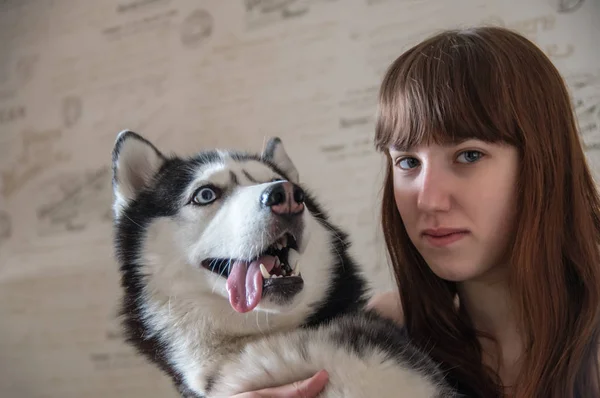 Ritratto di una ragazza con il suo bellissimo cane husky. pazzo siberiano husky faccia con lingua attaccare fuori . — Foto Stock