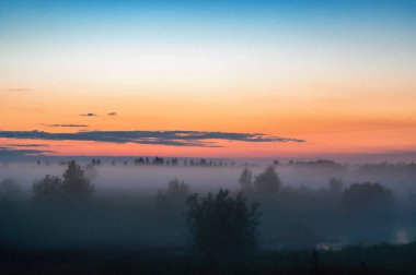 Akşam alan ve orman üzerinde kalın sis.