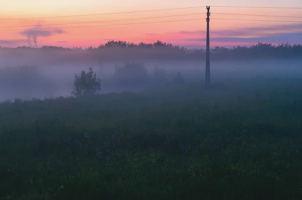 Mistige landschap met bos, veld en elektrische paal bij zonsondergang — Stockfoto
