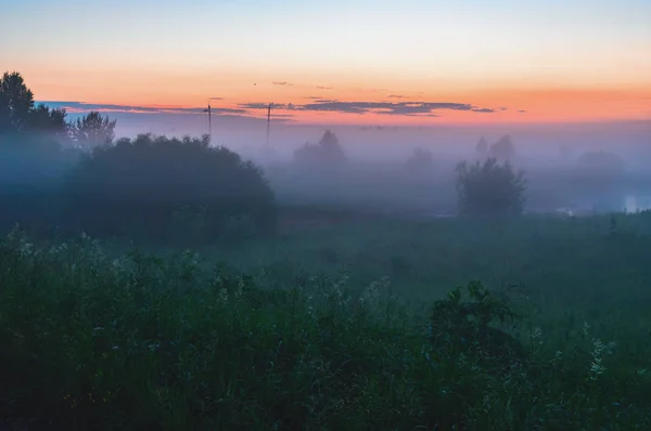Mistige landschap met bos en veld bij zonsondergang — Stockfoto