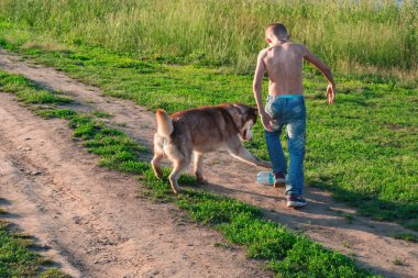 Çocuk komik köpekle oynamayı. Çocuk plastik şişe başladı, onun pençeleri ile şişe husky köpek yakalar. Arkadan Görünüş.