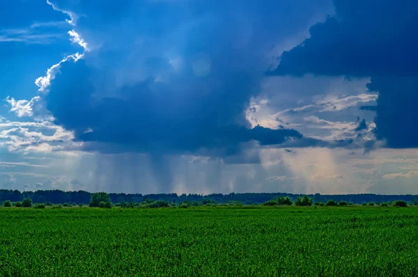 Sommar landskap med regn över ett grönt fält vid horisonten. Solstrålar genom mörkblå moln. — Stockfoto