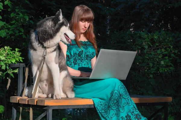 Belle jeune fille assise sur le banc du parc avec chien husky et ordinateur portable. Fille aux longs cheveux bruns en robe verte longue . — Photo