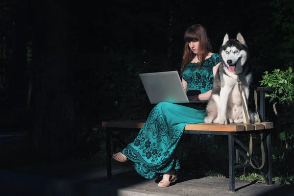 Husky köpek ve dizüstü bilgisayar ile parkta bankta kucağına oturan güzel genç kız. Uzun kahverengi saçları uzun Yeşil elbiseli kız.