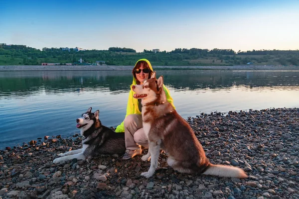 Chica con gafas de sol en compañía de dos perros husky se sienta cerca de la orilla del río. Propietario pasea con perros husky siberianos en la noche de verano . —  Fotos de Stock