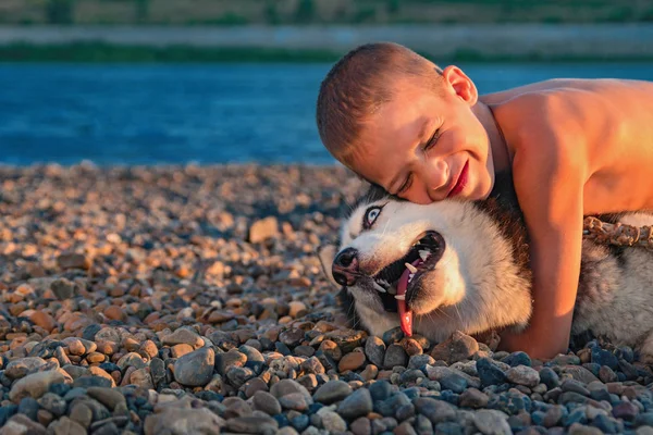 Boy hugs husky dog on summer evening beach. Concept of love to pet. Copy space. — Stock Photo, Image