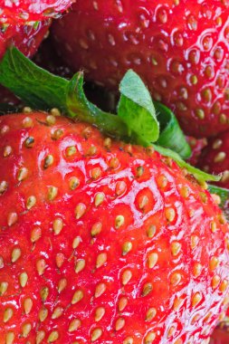 Olgun çilek. Desen. Çilek doku yakın çekim, makro. 