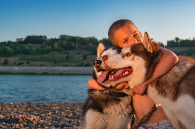Mutlu çocuk iki köpek boyunlarını sarıldı. Çocuk Sibirya husky köpek sahilde yaz akşamı hugs.
