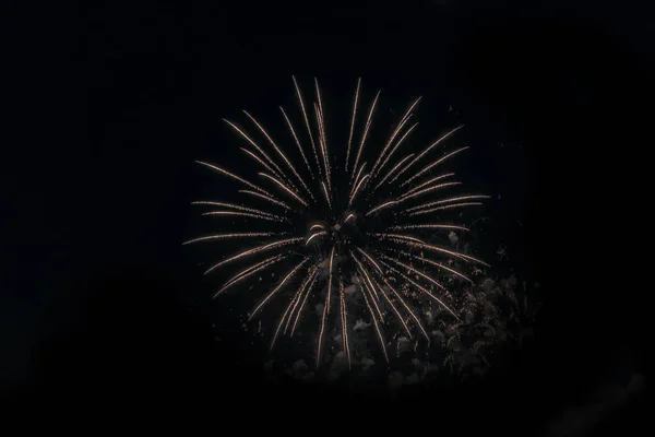 Firework Celebration on black background for cut out. — Stock Photo, Image