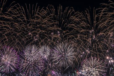 Siyah arka plan üzerinde renkli havai fişek. Kutlama için tasarım. Soyut tatil havai fişek arka plan.