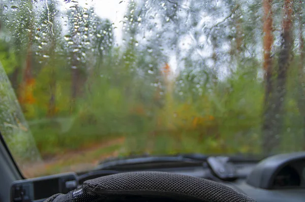 Regentropfen fallen auf den Scheibenwagen. herbstliche Regenwaldlandschaft. — Stockfoto