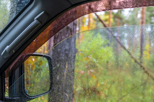 A chuva cai no carro da janela. Paisagem de floresta chuvosa outonal . — Fotografia de Stock