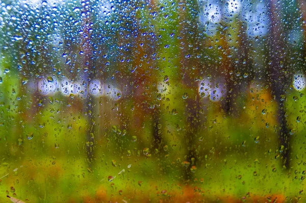 Água gotas azuis de chuva na janela. Floresta Outono Blur no fundo. Paisagem chuvosa outonal . — Fotografia de Stock