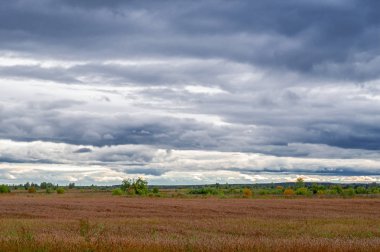 Sonbahar manzara. Bulutlu buğday alan. Sonbahar Doğa Manzara.