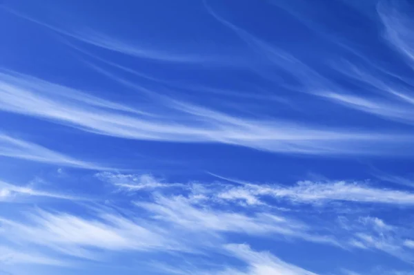 Branco claro cirrus nuvens no céu azul em um dia ensolarado — Fotografia de Stock