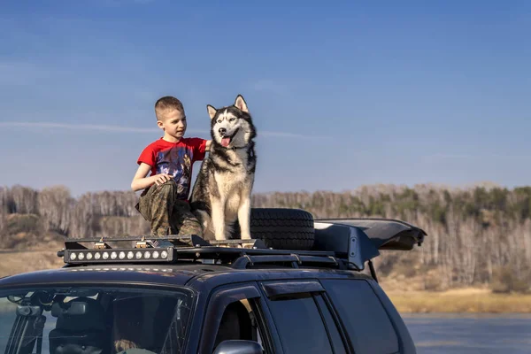Αγόρι (9 ετών) με Χάσκι σκυλί κάθεται στο αυτοκίνητο στέγη. Φίλοι με τα πόδια την ηλιόλουστη μέρα ενάντια στον γαλάζιο ουρανό. — Φωτογραφία Αρχείου