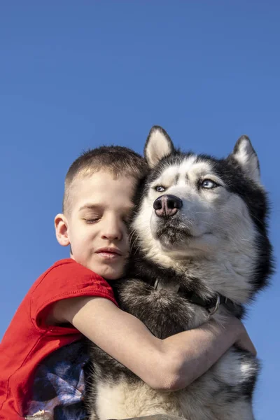 Jongen omhelsde met liefde Siberische husky hond op blauwe achtergrond. Geïsoleerd op blauw. Familie Lifestyle. — Stockfoto