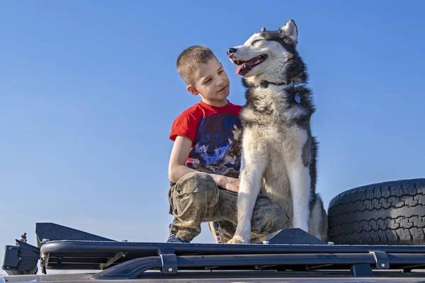 Ребенок и собака смотрят друг на друга. Мальчик обнял сибирскую хаски-собаку, дружбу . — стоковое фото