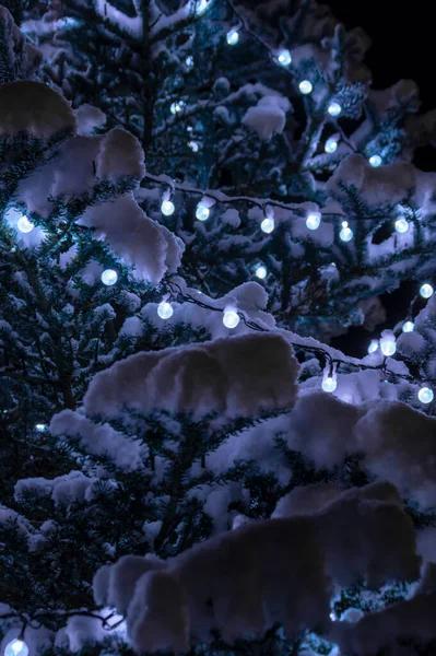 Ragyogó fények a koszorún az ágakon, hóval. Tűk a hóban. Fények a karácsonyfán. Ünnepi, ünnepi koszorúk az ágakon fa. Fadekorációk háttér. — Stock Fotó