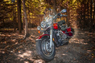 Park Moskova bölgesi, 29 Eylül 2019, güneşli sonbahar ormanlarında motosiklet kruvazörü. Seçici odaklanma. Kawasaki VN1600 Vulkan Göçebesi