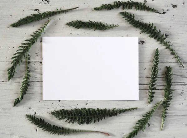 Styled stock photo stationery mockup with blank greeting card, wild herbs leaves, on a rustic white background. Empty space. Horizontal top view