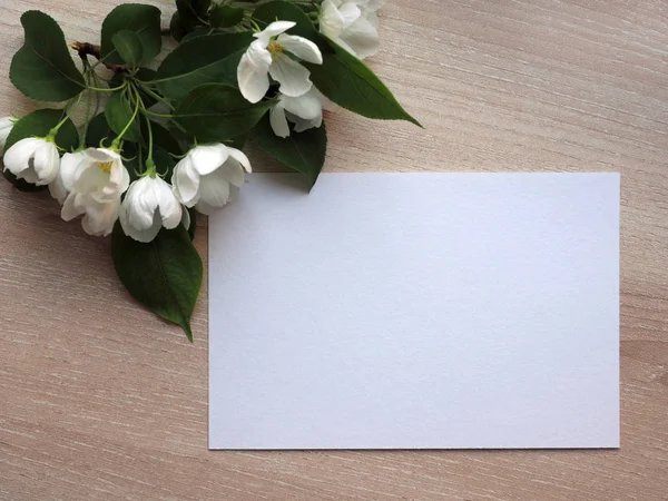 Estilo Stock Foto Papelería Burla Con Tarjeta Felicitación Flores Manzana — Foto de Stock