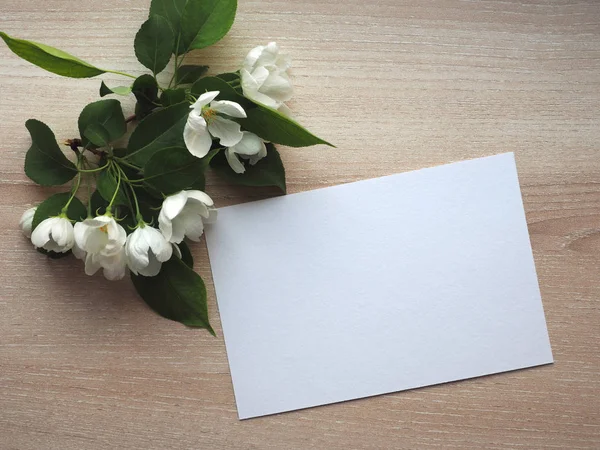 styled stock photo stationery mock up with greeting card and spring apple flowers. empty space. top view.
