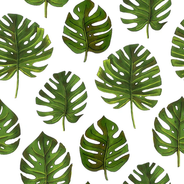 monstera leaves, tropical print. seamless pattern on a white background for wedding, package design, fabric and fashion.