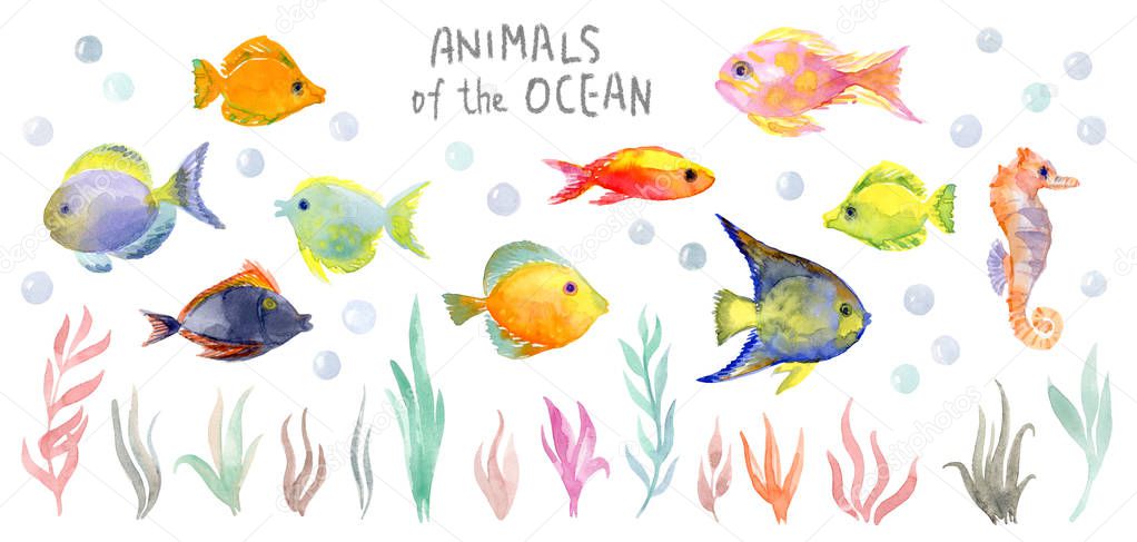 multicolored animals of ocean watercolor set. fishes, sea horse and seaweed. hand painted isolated elements.